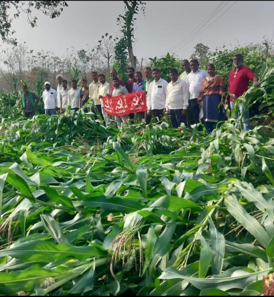 నష్టపోయిన రైతన్నలను ప్రభుత్వం వెంటనే ఆదుకోవాలి.