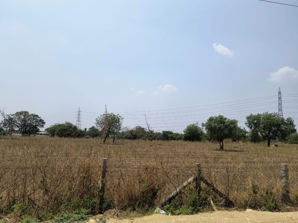 బుల్కపూర్ లో బండలా చెరువు కబ్జా -రైతులకు, పశువులకు తీవ్ర ఇబ్బంది