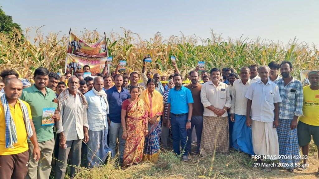 జీనెక్స్ సీడ్స్ కంపెనీ సోల్జర్ 888తో అధిక దిగుబడులు..