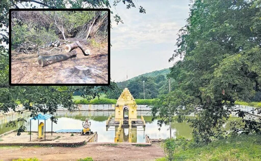 దామగుండం అడవిలో 12 లక్షల చెట్లు నరికివేత..