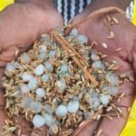 రైతు కష్టం పై రాళ్ల వాన!