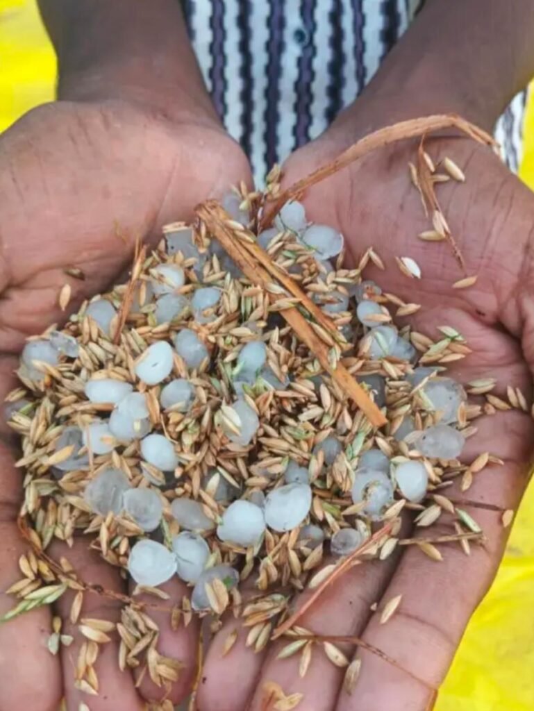 రైతు కష్టం పై రాళ్ల వాన!