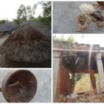 పల్లెలే ప్రగతికి పట్టు గొమ్మలు