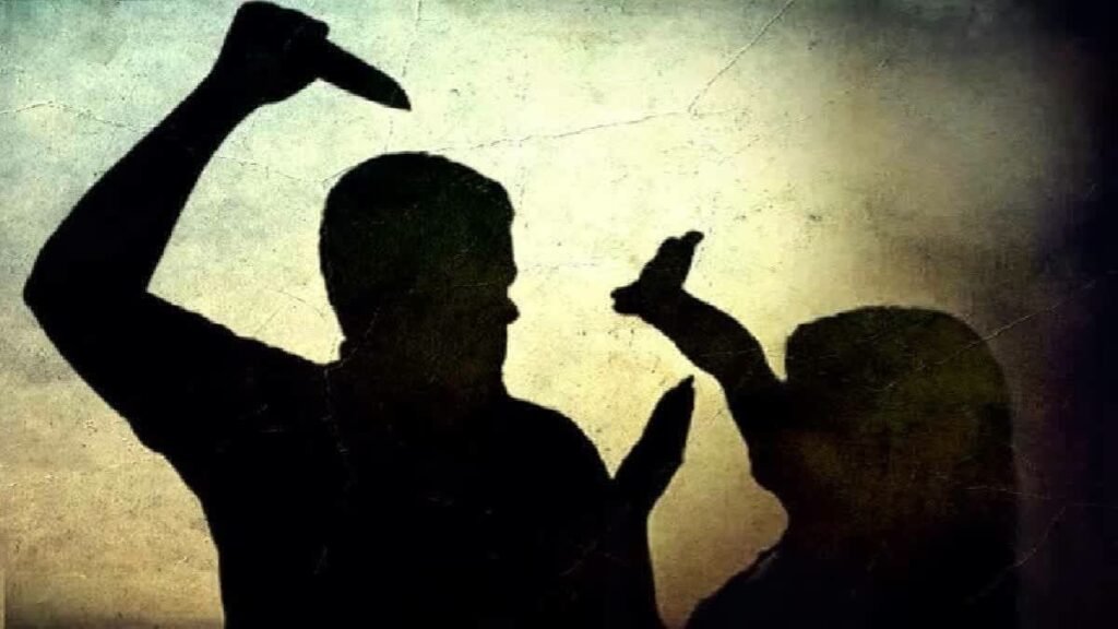పరిగిలో పందుల గొడవ.. కత్తితో యువకుడి వీరంగం