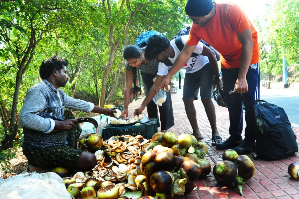 మొయినాబాద్‌ మార్గంలో.. ‘ముంజల’ జాతర!