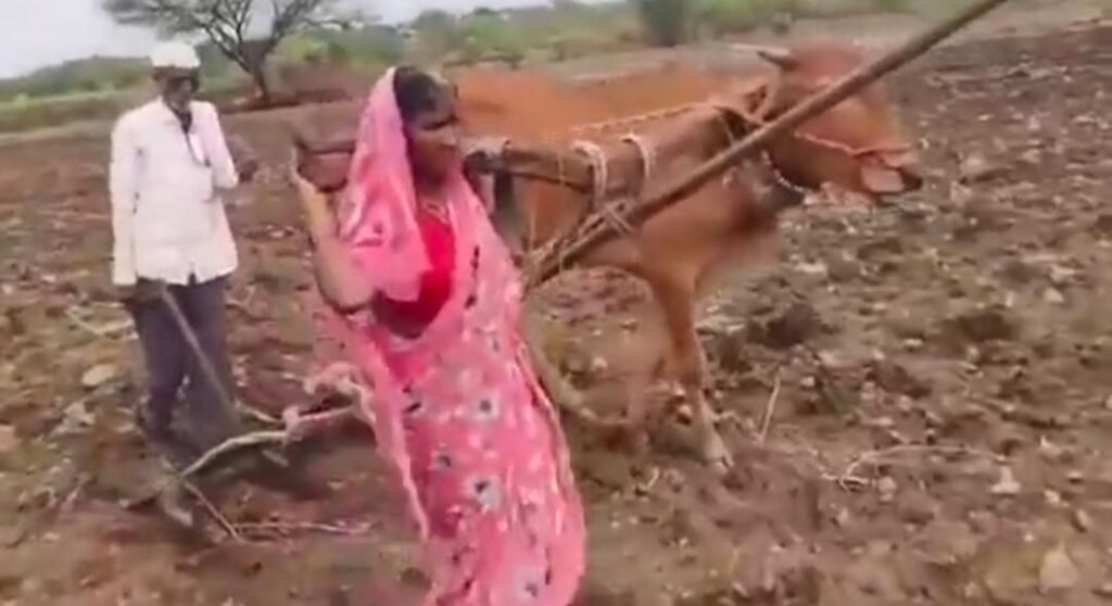 కాడెద్దులా మారిన కన్నతల్లి..