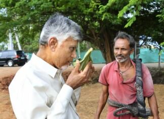 చెట్టు నుంచి దింపిన తాజా కల్లు రుచి చూసిన చంద్రబాబు.