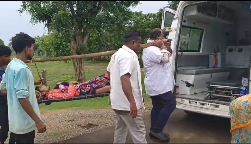 ఆపద్భాందవుల సాహసం.. డోలీ మోతతో ప్రాణాలు కాపాడిన 108 సిబ్బంది!