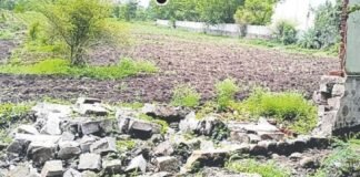 అభివృద్ధి జాడెక్కడ
